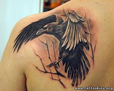 Фото и значение татуировки Ворон. Ворона. 26559427